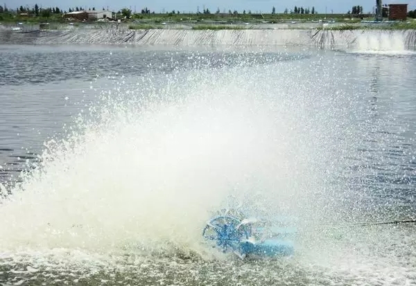 河道景觀中六大生態修復技術，你知道嗎？