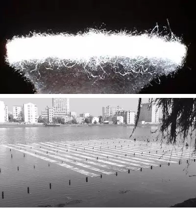 河道景觀中六大生態修復技術,你知道嗎?