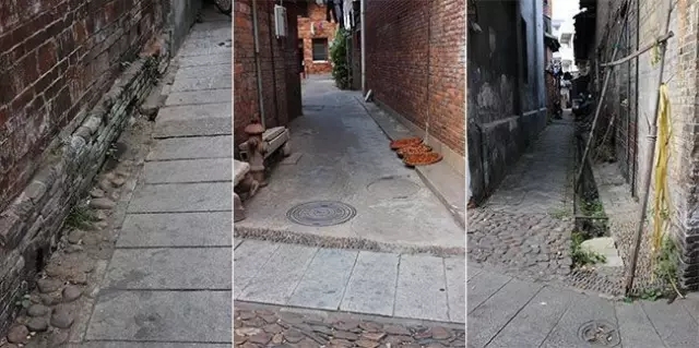 5分鐘讀懂生態(tài)智慧