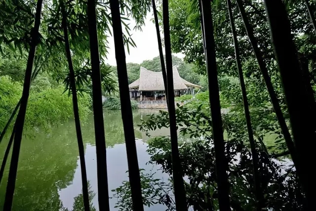 何陋之有？何陋軒與馮紀忠