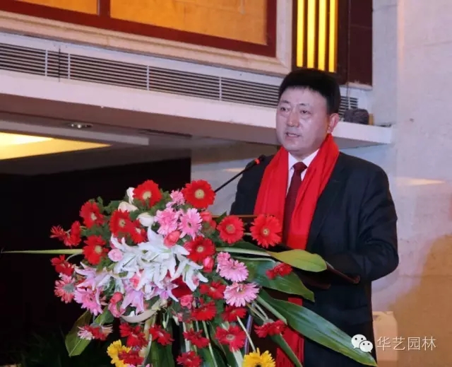 “追夢者”胡優華:在傳承創新徽派園林中從容生長