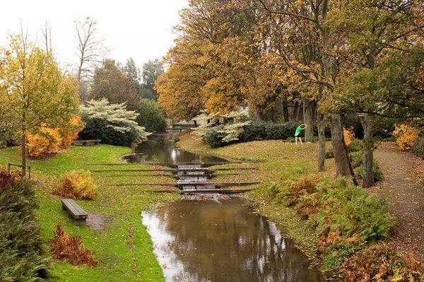 景觀設計到底都能干些啥？