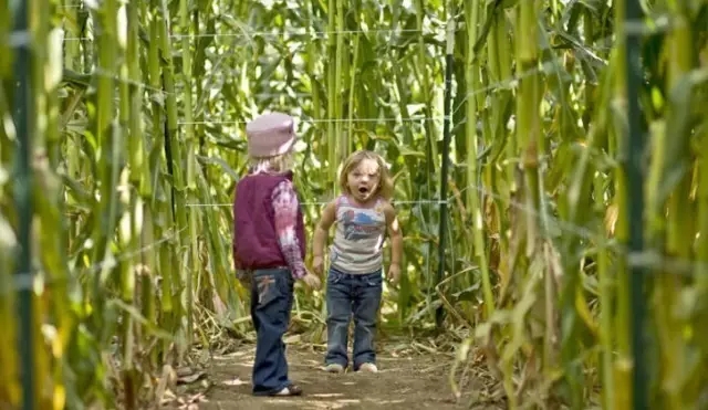 如何讓植物成為兒童活動場地的主角？