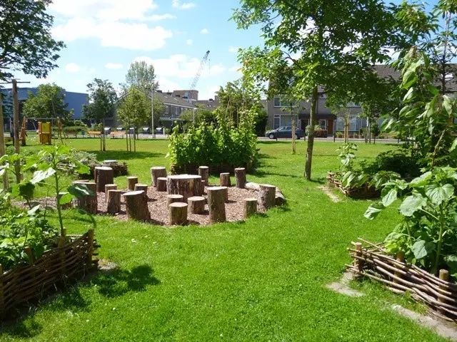 如何讓植物成為兒童活動(dòng)場(chǎng)地的主角？