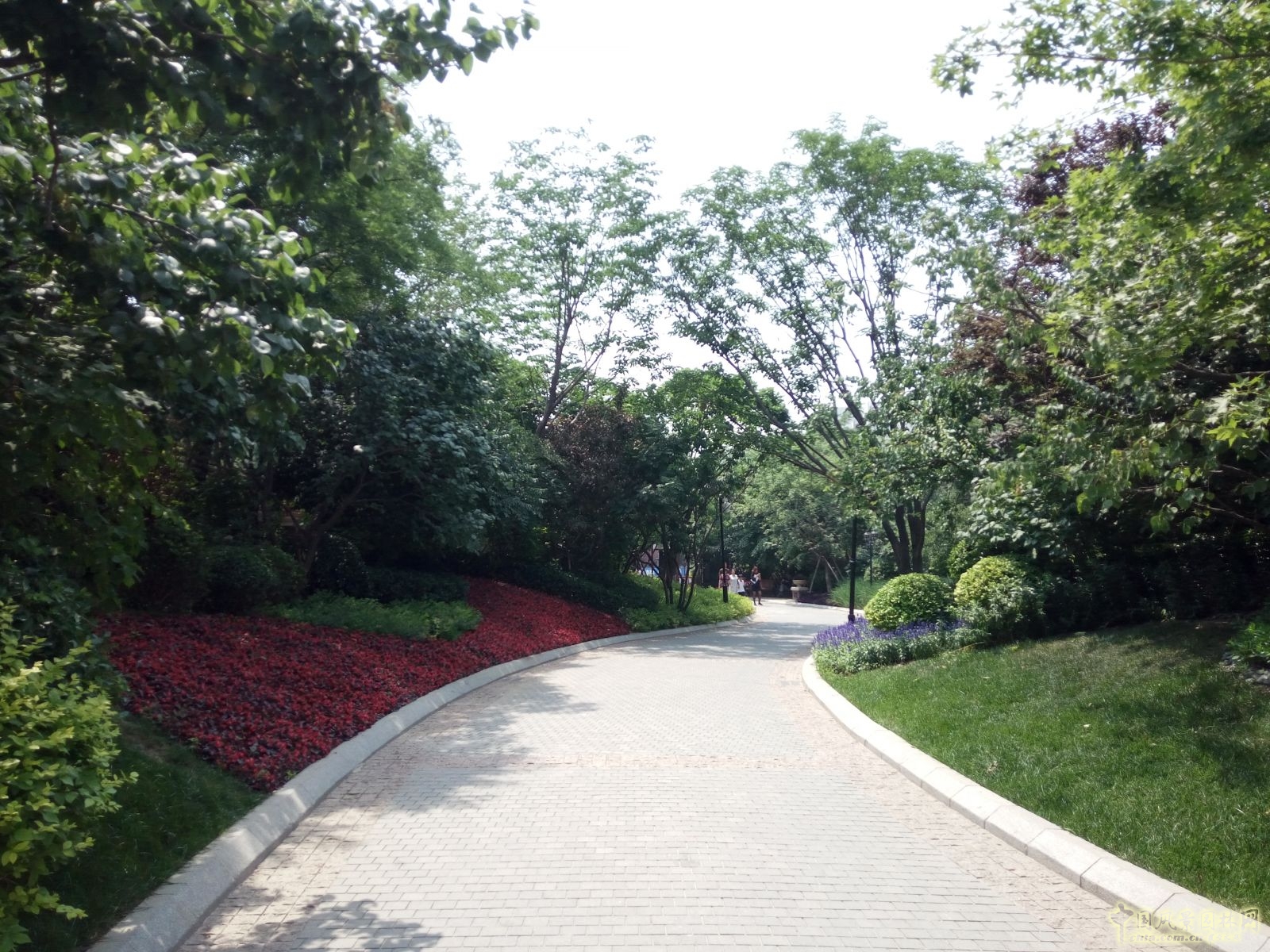 2016園冶杯專業獎參賽項目:金隅中北鎮項目園林一標段