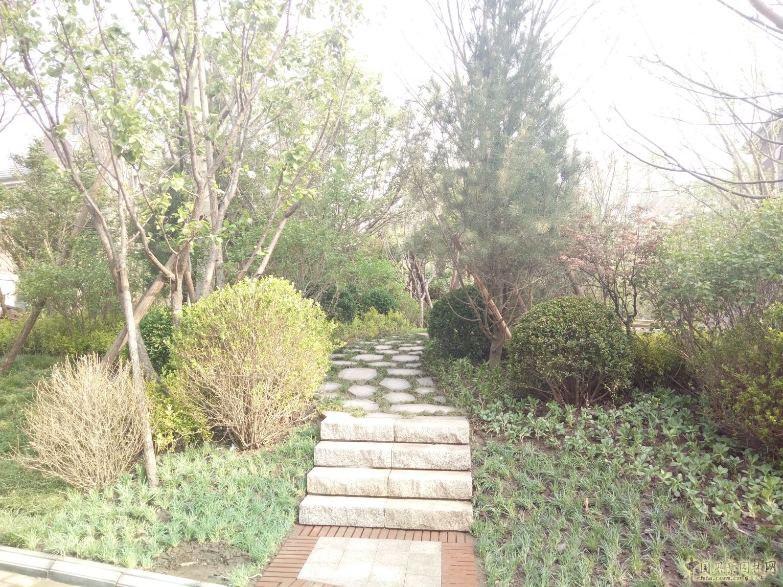 2016園冶杯專業獎參賽項目:金隅中北鎮項目園林一標段