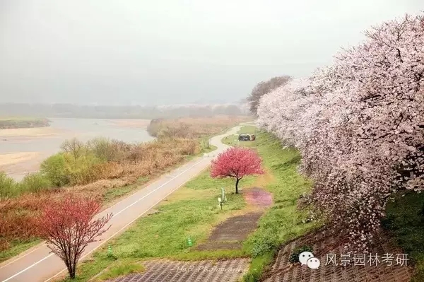 景觀設(shè)計(jì)中地形高差處理不會(huì)?看過(guò)來(lái)!