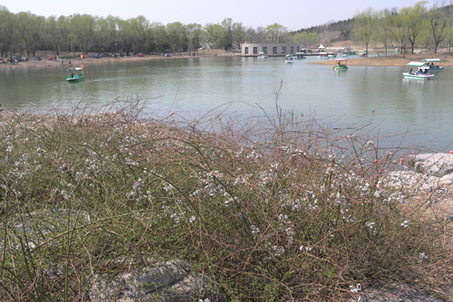 景觀設(shè)計師的邏輯“三法則”