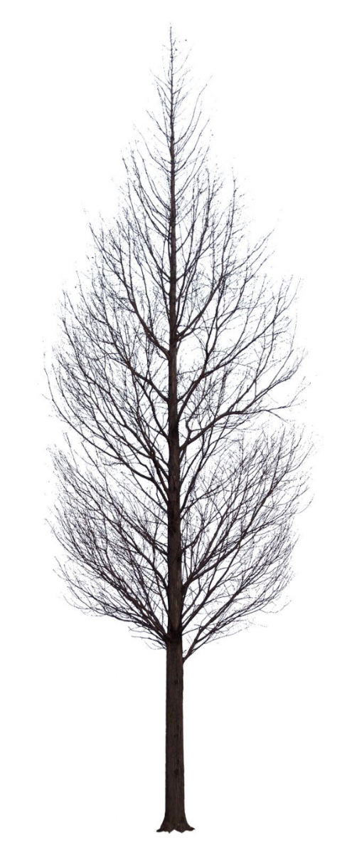 如何自己準備一套申請留學的景觀作品集?(上)