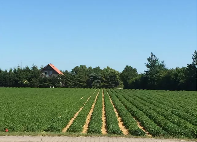 德國(guó)最成功的兒童體驗(yàn)農(nóng)莊:卡爾斯農(nóng)莊