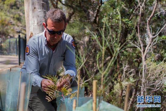 澳大利亞國家公園法制管理細分責