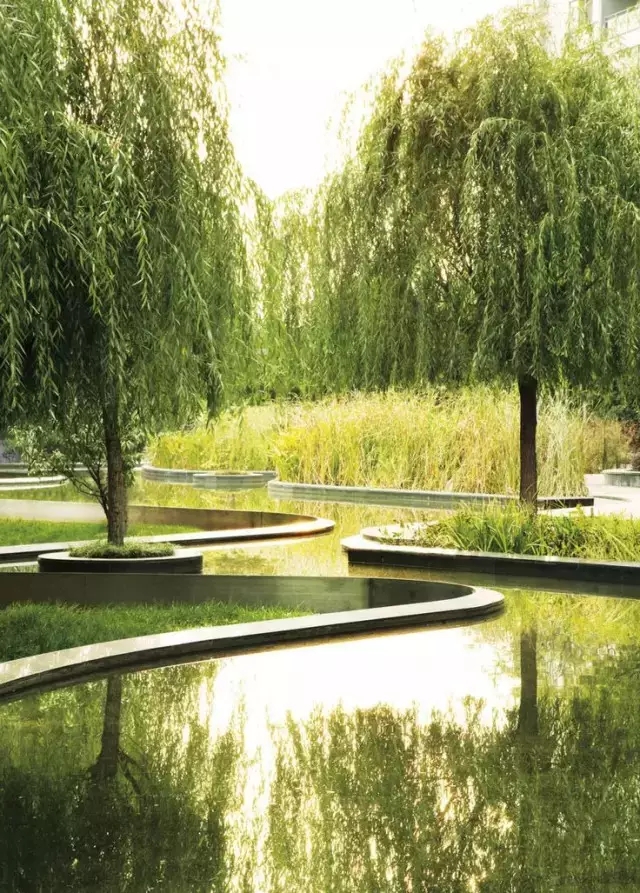 小水面的植物配置圖片集錦