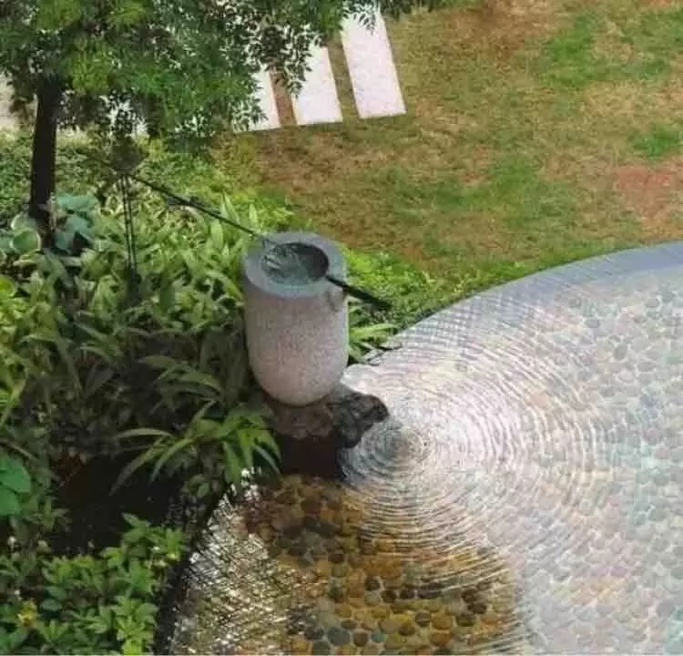 小水面的植物配置圖片集錦