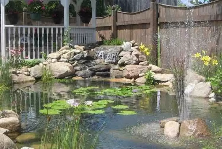 小水面的植物配置圖片集錦