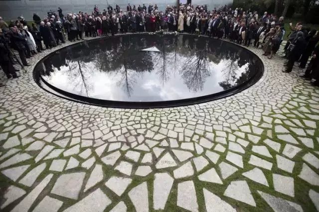 小水面的植物配置圖片集錦