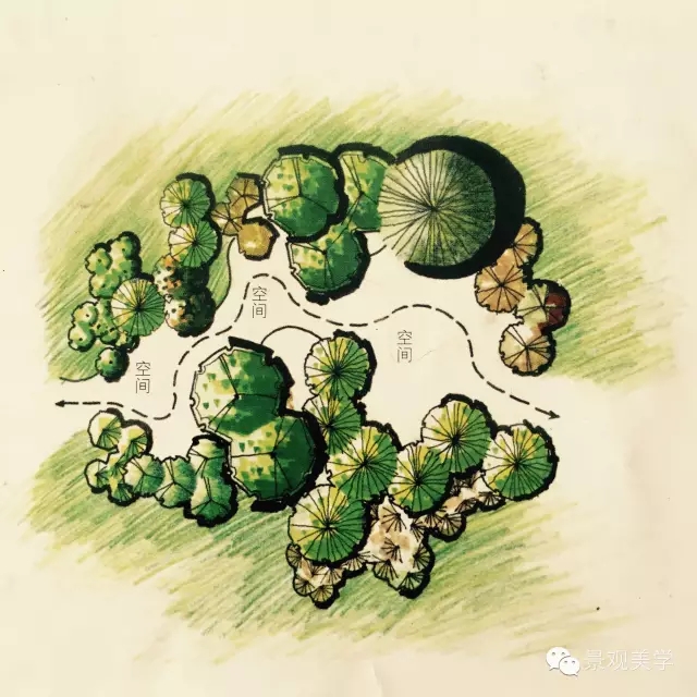 快速設計植物設置