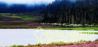 2016園冶杯專業獎參賽項目: 懷遠縣S307道路園林景觀工程設計