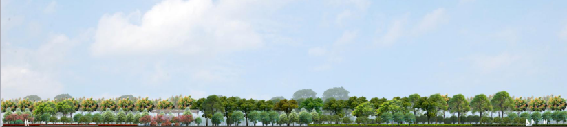 2016園冶杯專業獎參賽項目: 懷遠縣S307道路園林景觀工程設計