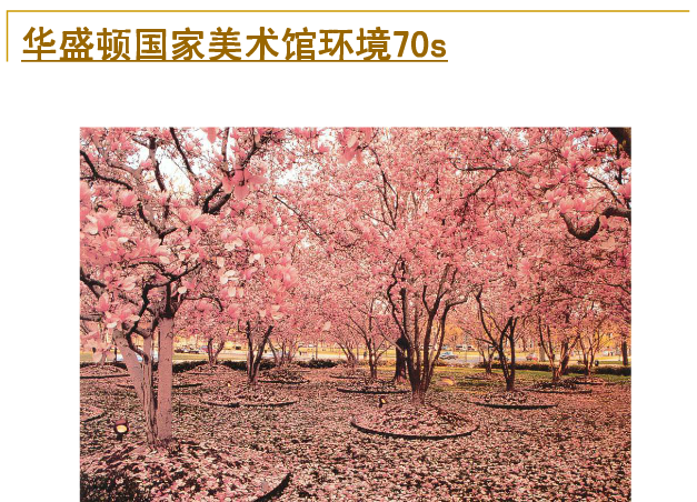 丹·克雷和米勒花園解析