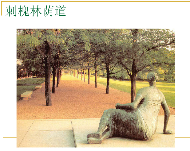 丹·克雷和米勒花園解析