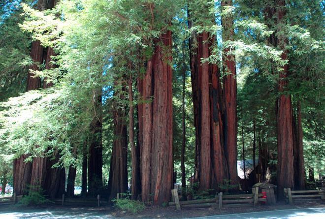 全球最美的8大國家公園