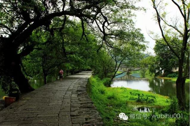 對馮驥才先生批評傳統村落和古村旅游發展問題的不同看法