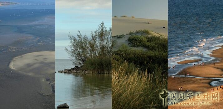 【園冶講壇】荷蘭NL：從海綿城市到海綿國度