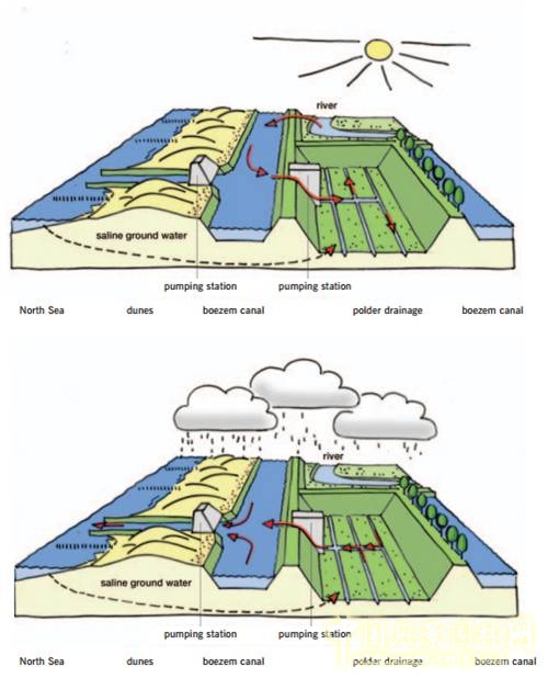 【園冶講壇】荷蘭NL：從海綿城市到海綿國度