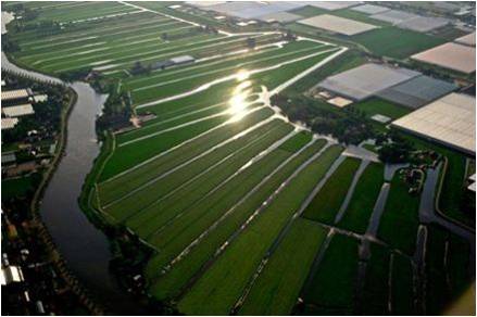 【園冶講壇】荷蘭NL：從海綿城市到海綿國度