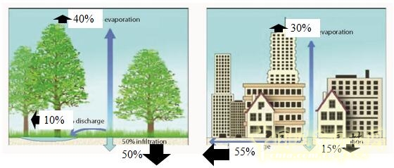 【園冶講壇】荷蘭NL：從海綿城市到海綿國(guó)度