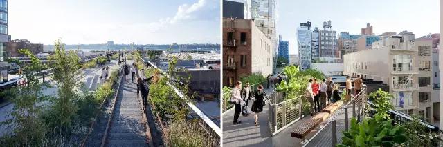 坎蒂斯·達蒙：從高線公園項目融資談起