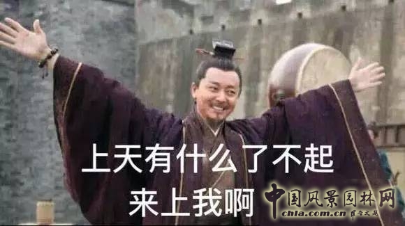 一口氣讀懂中國園林