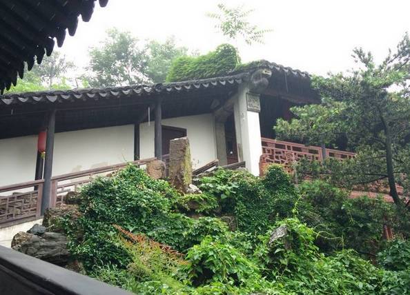 中國古典園林鑒賞:江蘇一些小而精的園林