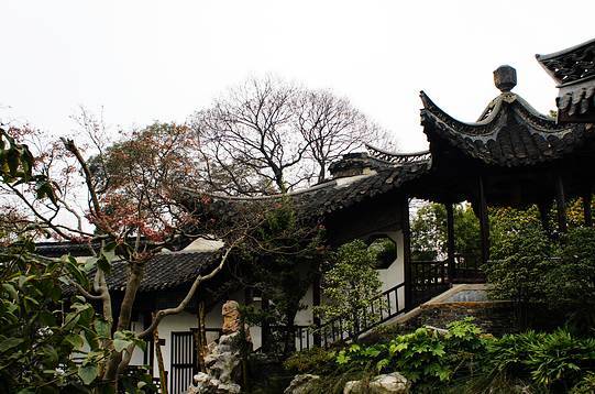 中國古典園林鑒賞:江蘇一些小而精的園林