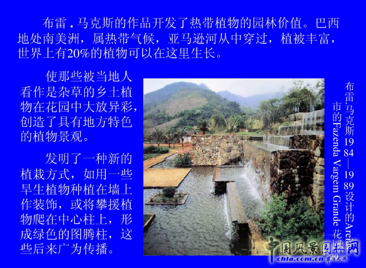 拉丁美洲的景觀設計