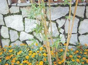 園林石墻造景常見8手法