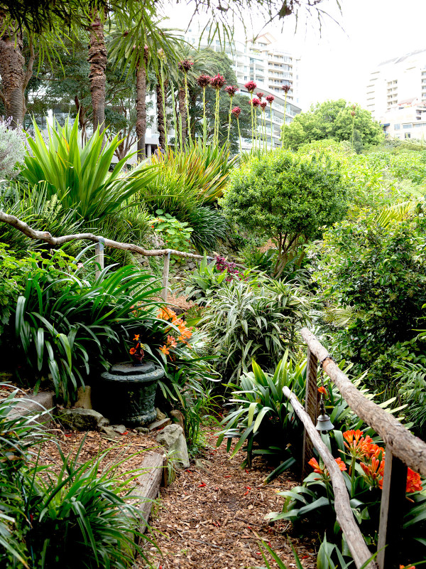 澳大利亞Wendy Whiteley住宅花園