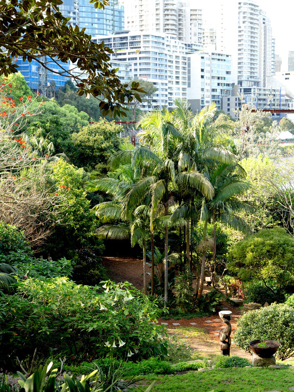 澳大利亞Wendy Whiteley住宅花園