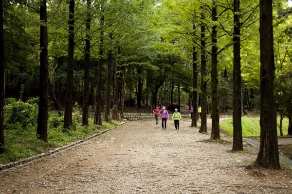從垃圾島到世界杯公園的完美逆襲--蘭芝島