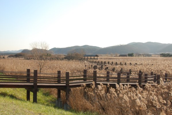 從垃圾島到世界杯公園的完美逆襲--蘭芝島