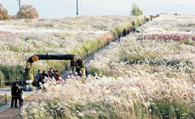 從垃圾島到世界杯公園的完美逆襲--蘭芝島