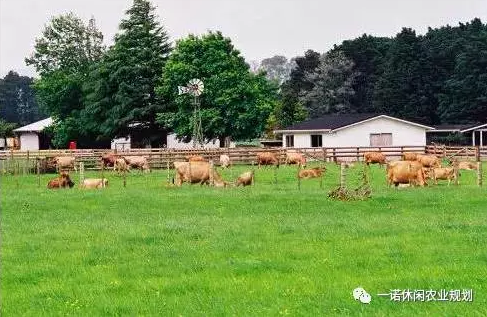 宋衛平的農林小鎮是怎么做的？