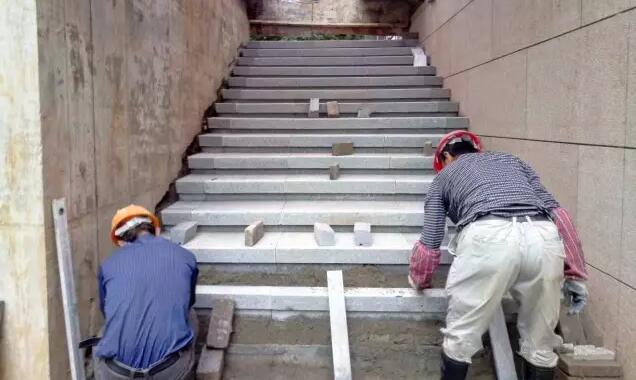 棕櫚工程：南京新城 · 璞樾鐘山