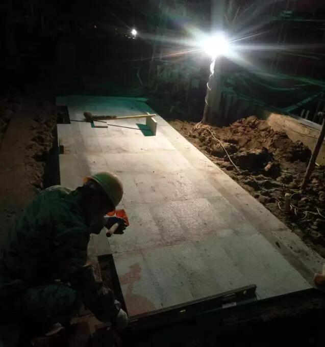 棕櫚工程：南京新城 · 璞樾鐘山