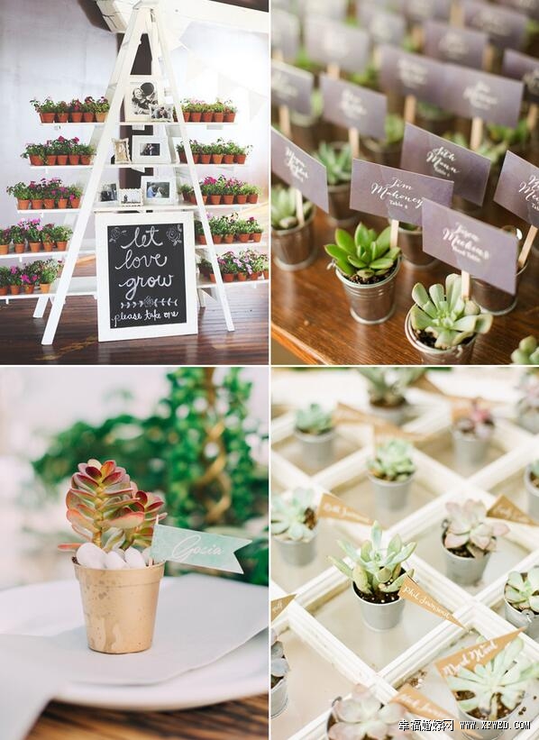 32種超乎你想像的時(shí)尚多肉植物婚禮設(shè)計(jì)