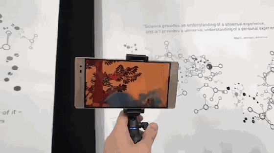 AR和VR技術(shù)在野生動(dòng)植物的保護(hù)中的應(yīng)用