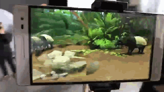 AR和VR技術(shù)在野生動(dòng)植物的保護(hù)中的應(yīng)用