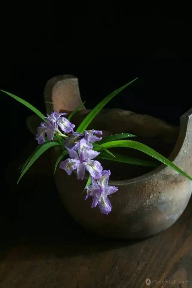 春天 茶席上的插花