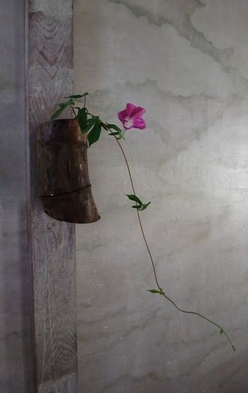 春天 茶席上的插花