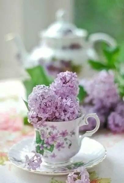 所有器具都能讓你的花藝很時髦